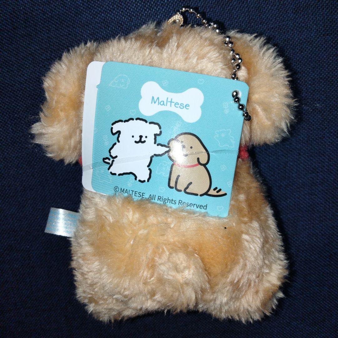 Maltese マルチーズ　ボールチェーン付きぬいぐるみ　レトリバー
