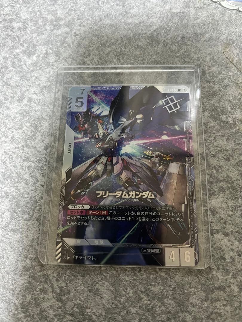【極美品】フリーダムガンダム　未開封　ニュータイプチャレンジ優勝　プロモ
