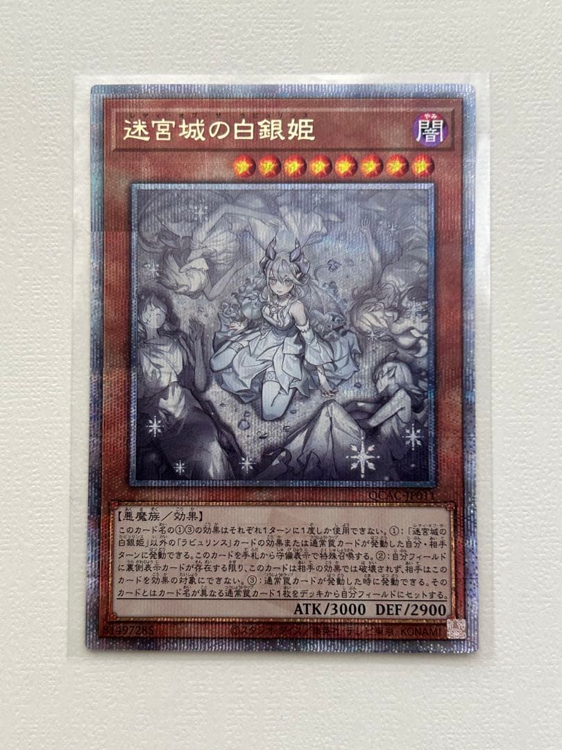 迷宮城の白銀姫　25th クオシク 絵違い