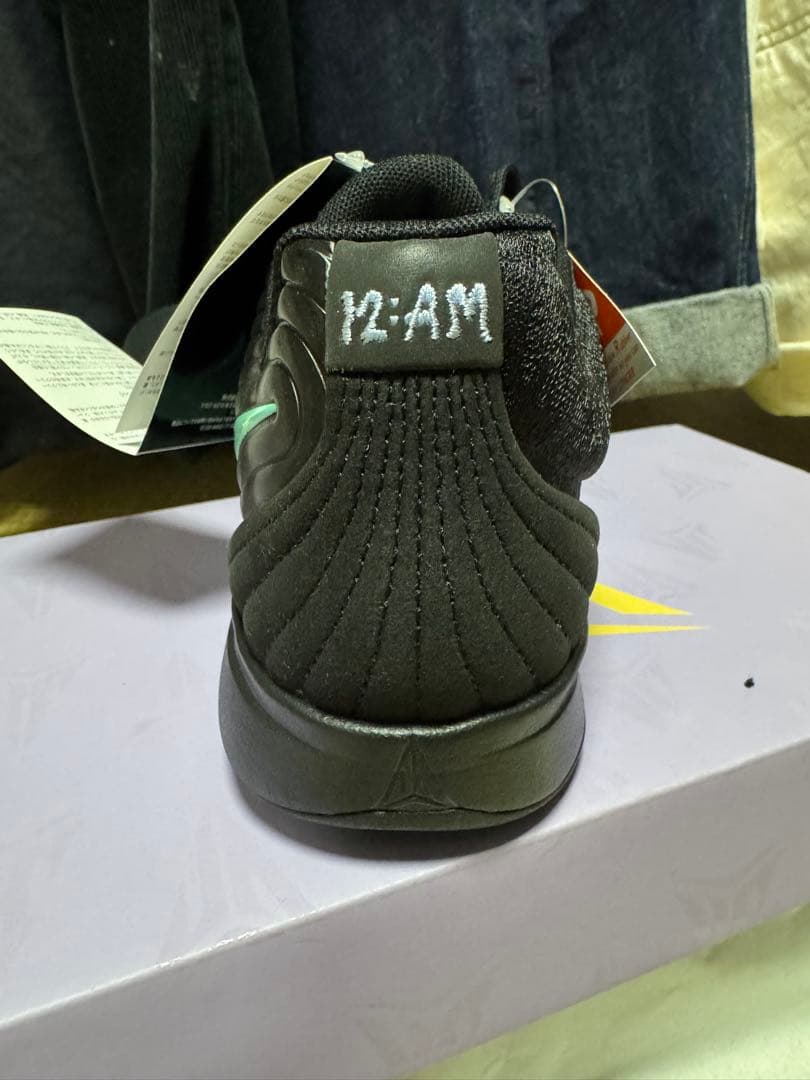 Nike Ja 2 Tiffany Swoosh 新品未使用品 ナイキ