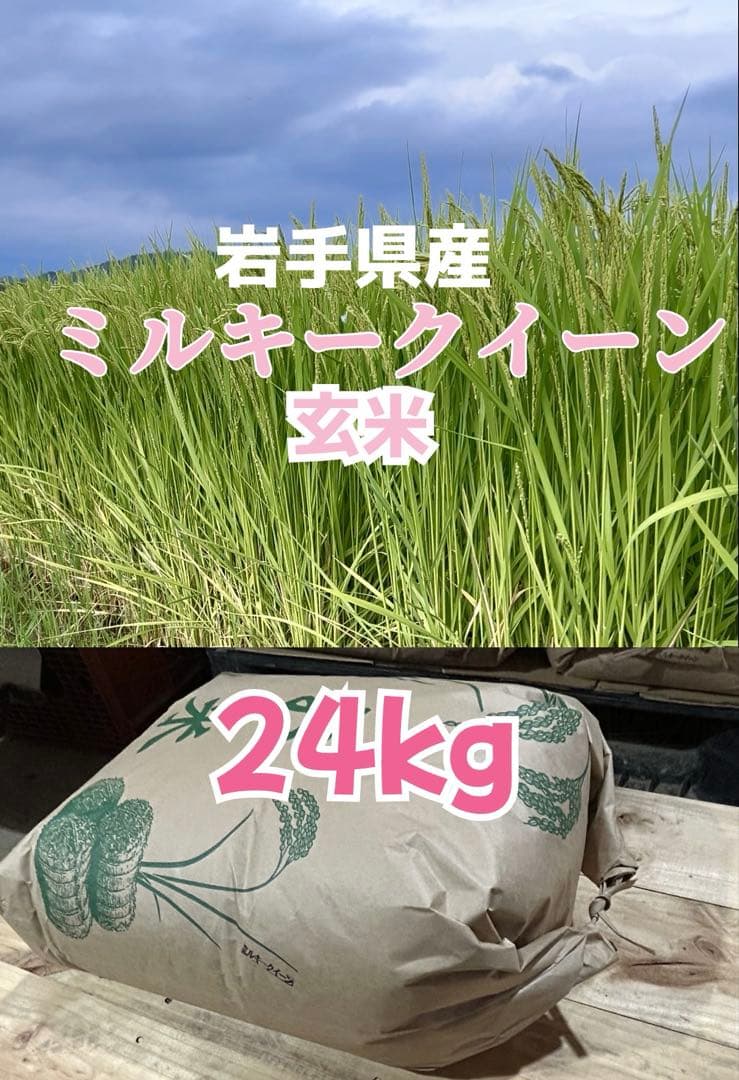 令和7年産「ミルキークイーン」玄米24kg 【送料無料】