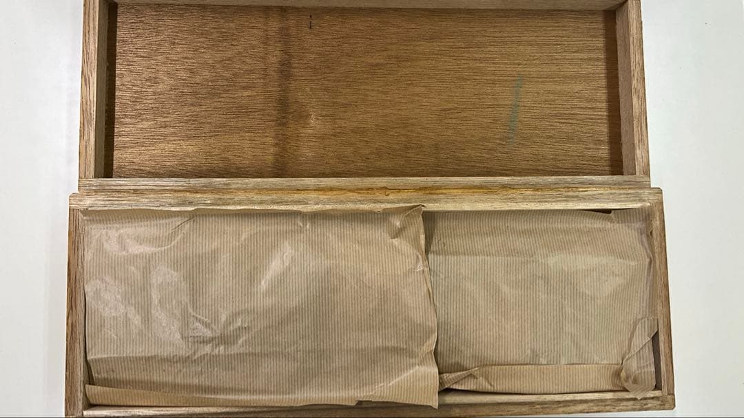 示準化石模型 5種セット 三葉虫 羊歯植物 床板さんご アンモナイトサメの歯