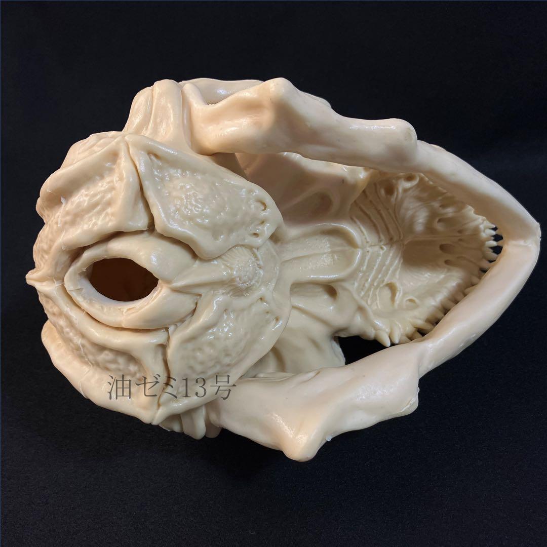 ゴジラスカル　Godzilla skull　ガレージキット　頭骨　頭蓋骨