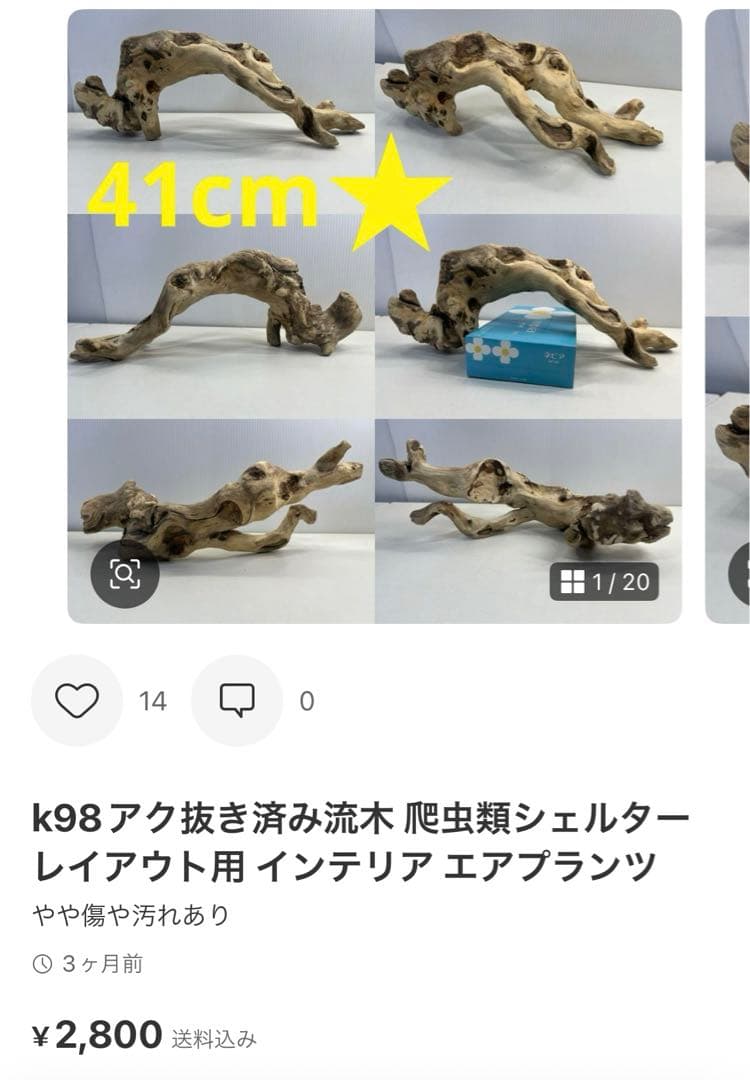 t55アク抜き済み流木セット 爬虫類シェルター 登り木 インテリア エアプランツ