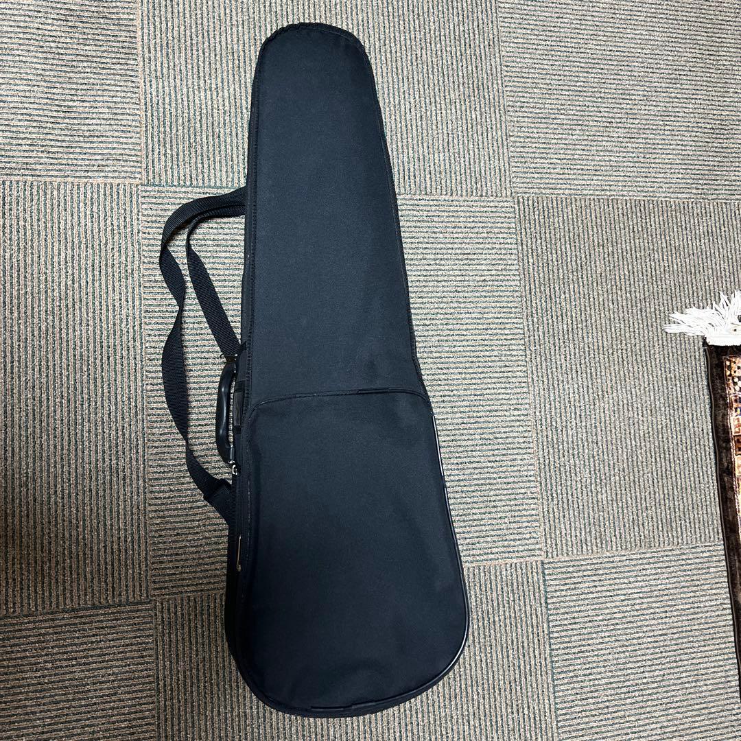 初心者用中古バイオリン4/4サイズ カルロジョルダーノVS-1