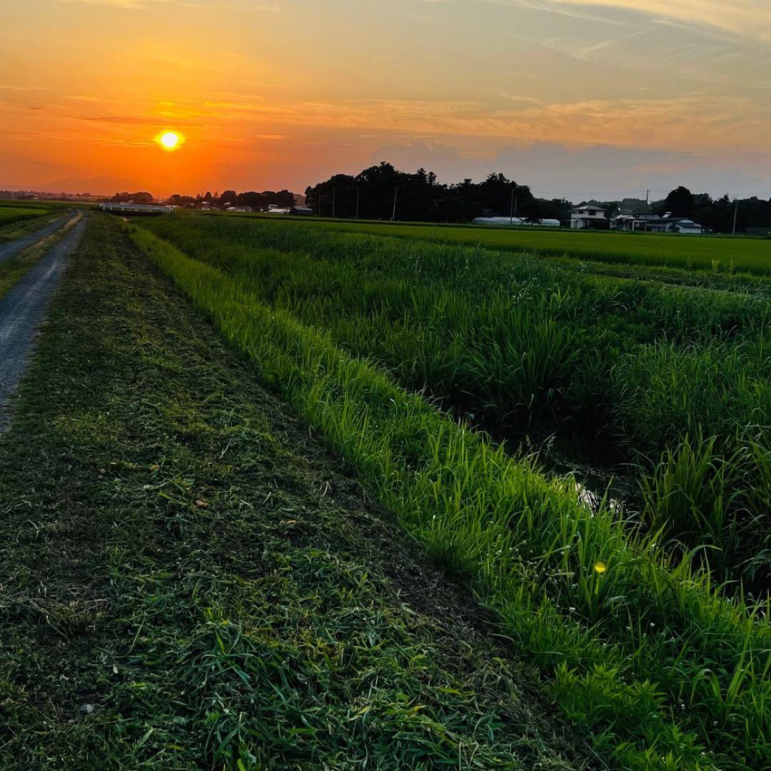 【農家直送】令和7年　宮城県栗原市産 ひとめぼれ 玄米20kg 環境保全米