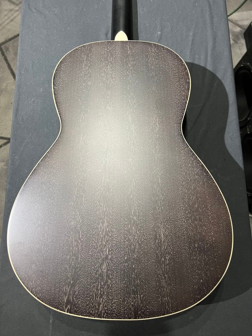 Paul reed smith P20E Doghair 美品