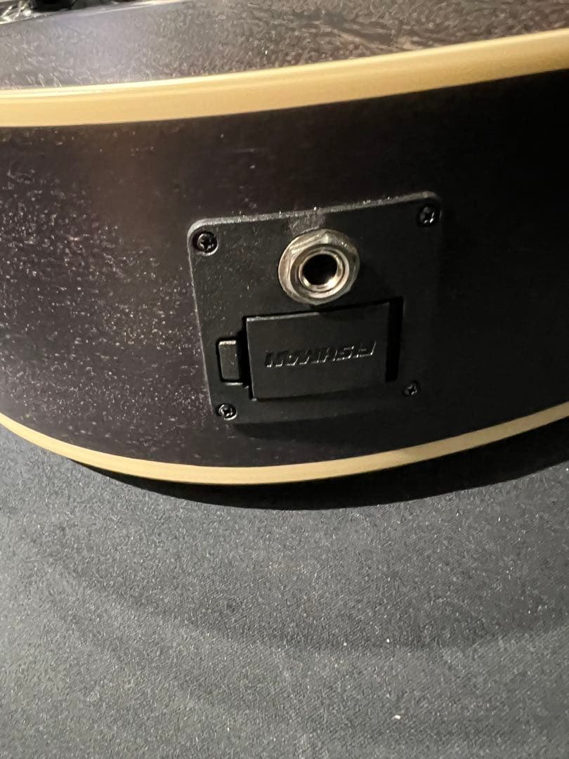 Paul reed smith P20E Doghair 美品