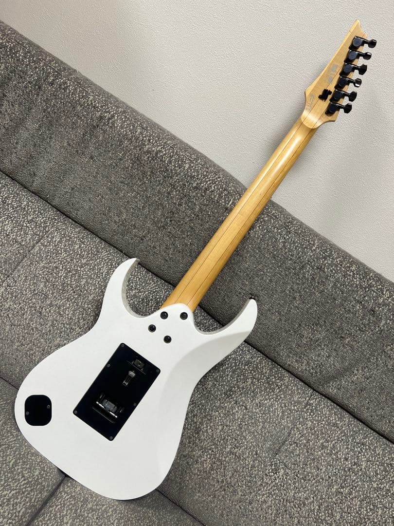 Ibanez Prestige RG2550ZGW 専用ハードケース付