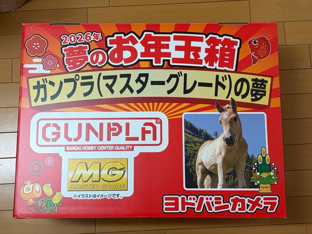 ヨドバシ福袋　ガンプラの夢　マスターグレードの夢　未開封