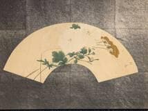 【模写】絵画　堂本印象　日本画　扇面画　白花と秋草　気品漂う一作　X107