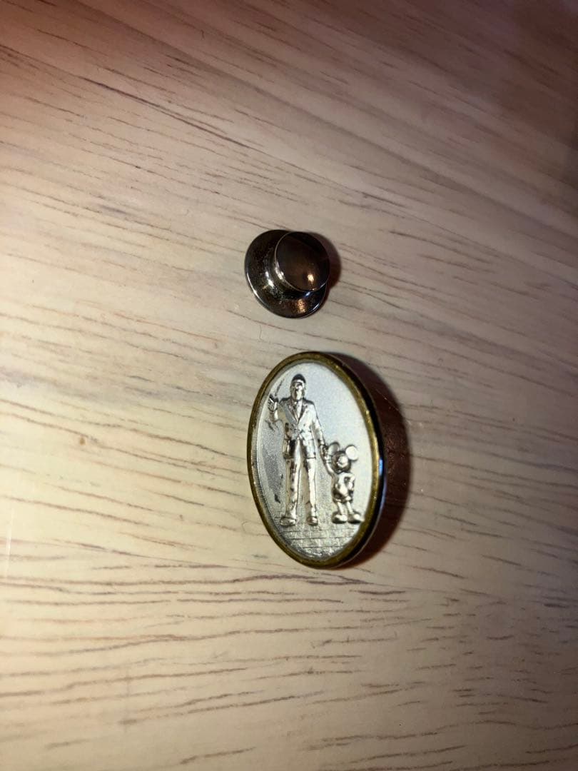 【セール】希少⭐︎ ディズニー キャスト スピリット・アワードピン 非売品