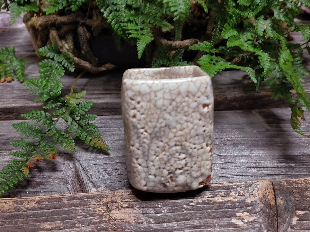 ♥絵志野　ぐい呑み　桐箱付き　㉔　志野　ぐい飲み　骨董品