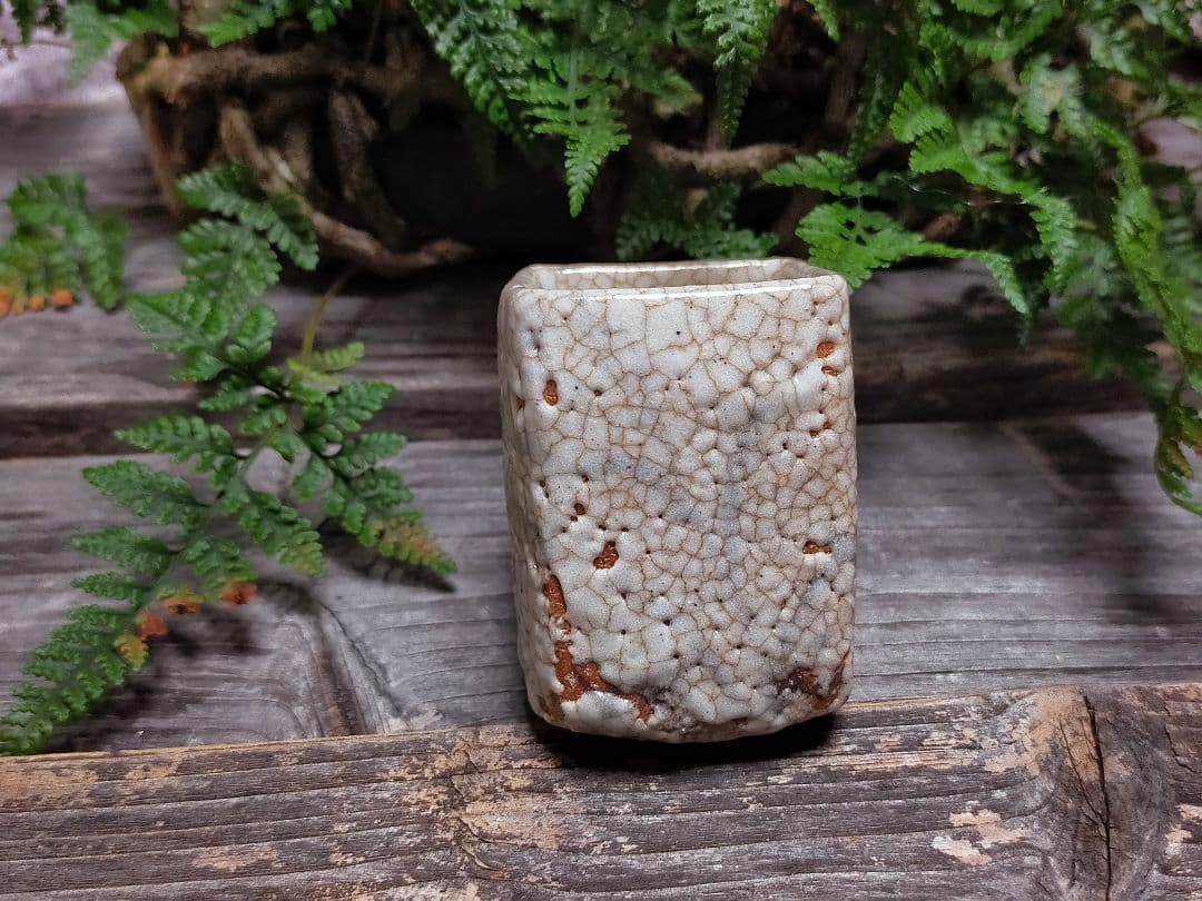 ♥絵志野　ぐい呑み　桐箱付き　㉔　志野　ぐい飲み　骨董品