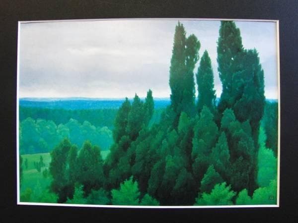 東山魁夷、廣原、額装画版集画、版上サイン、限定、希少画集画、新品高級額