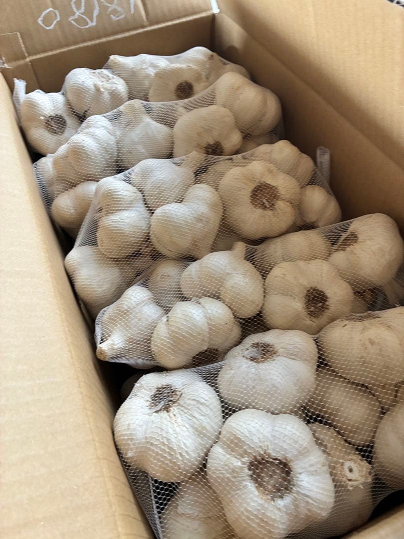 新物　青森県にんにく5Kg MＬ