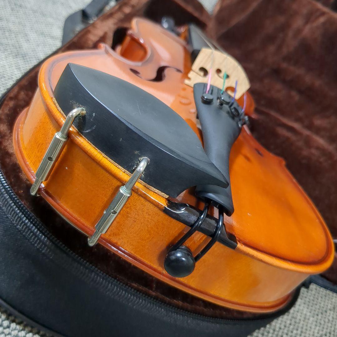 Carlo giordano VS-1 1/2 カルロ ジョルダーノ 2016年