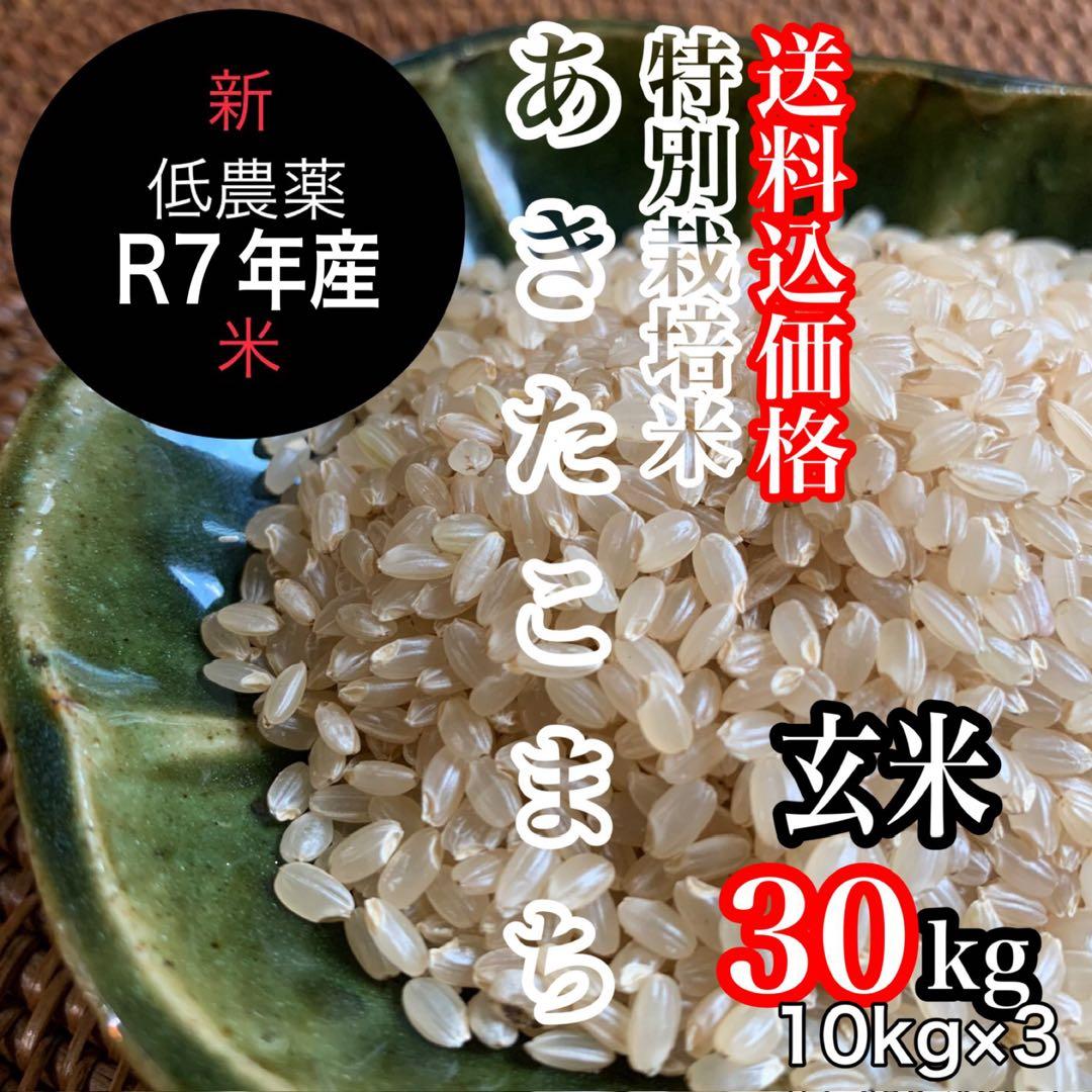 新米R7年産◎低農薬 【特別栽培米】あきたこまち 玄米30kg(10kg×3)