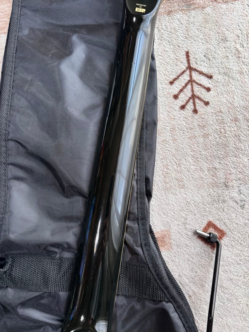 メンテナンス済み！　EDWARDS E-CL-90-I SUGIZO Model