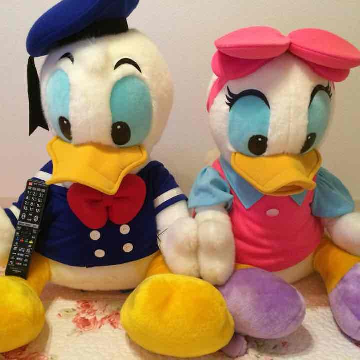 36000円！特大！ドナルド ディジー ぬいぐるみ ディズニー限定