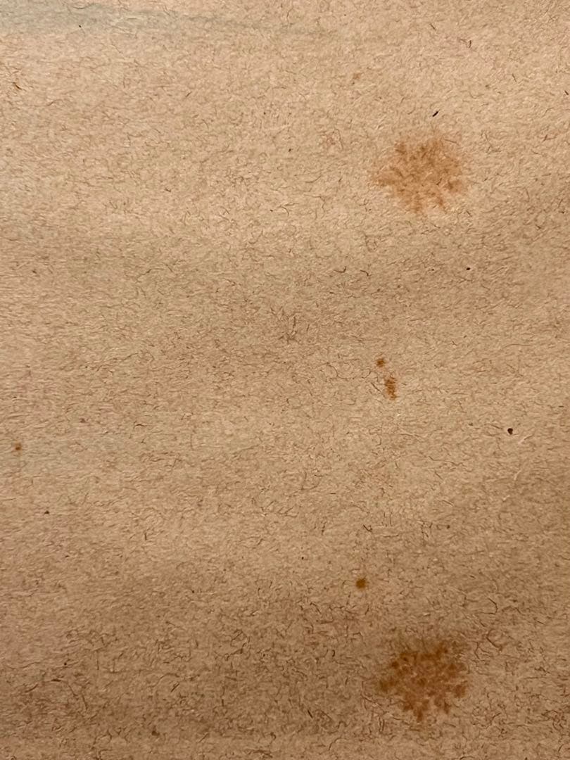 小林太玄 掛軸 肉筆 書「せせらぎ 画賛」 大徳寺 臨済宗 掛け軸 茶掛 めだか