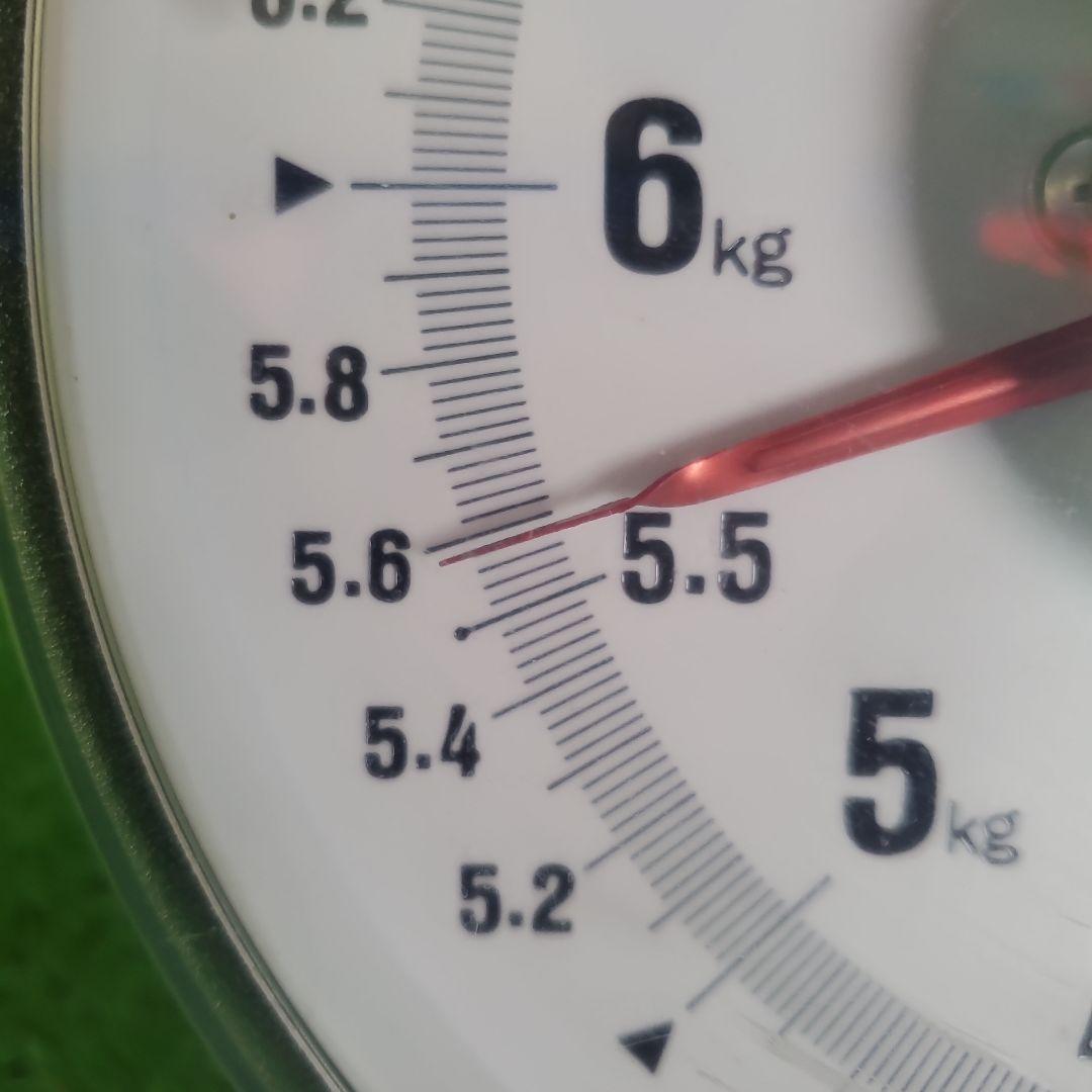 3️⃣ 山梨県産 シャインマスカット １1房入り 箱込み5.5キロ