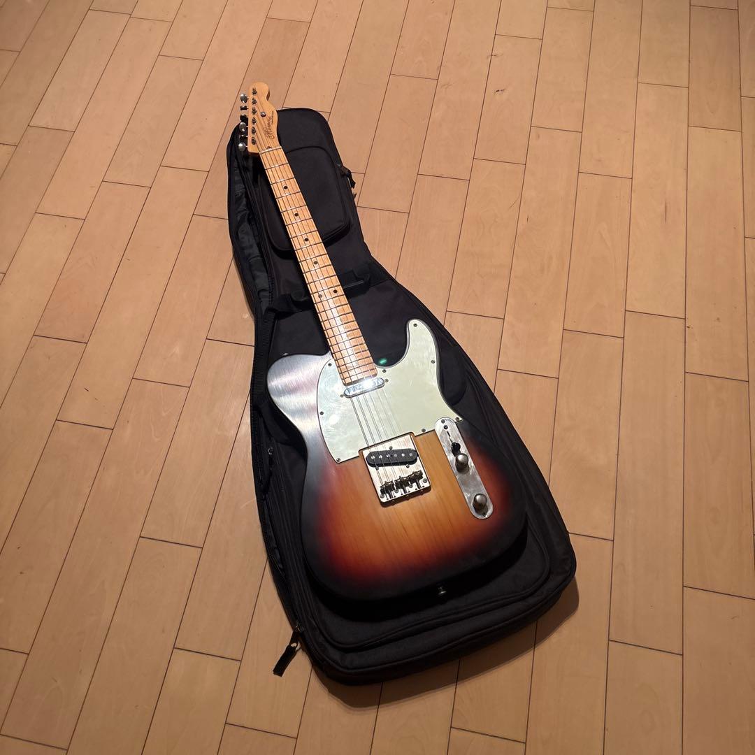 モモセ　テレキャスター　momose mtl-std