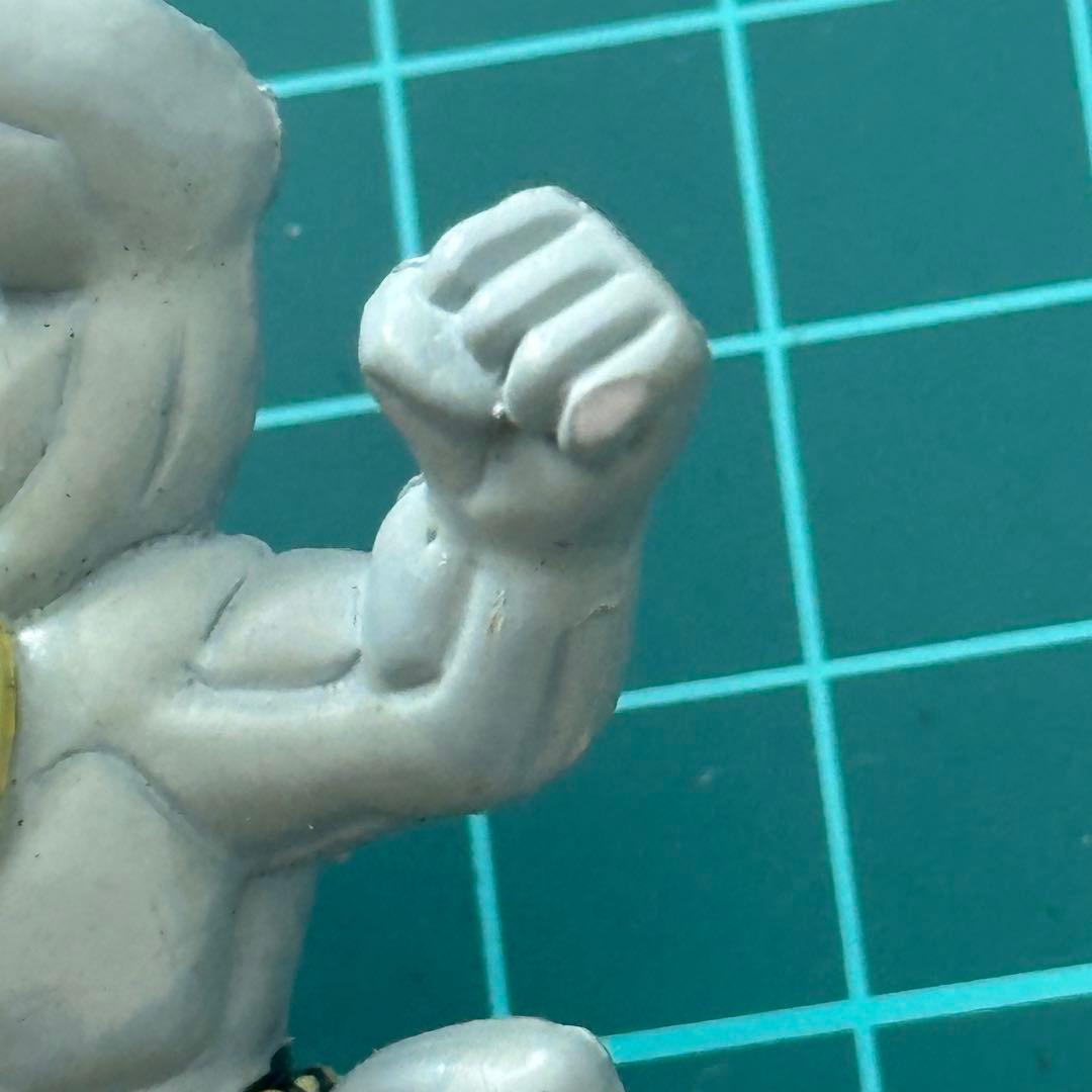 ポケットモンスター　モンコレ　カイリキー　ゴーリキー　ワンリキー　ポケモン