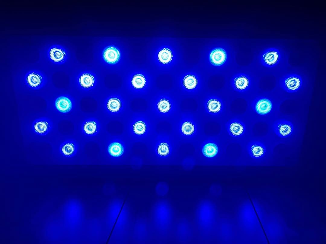 LED水草ライト 多色 3ファン