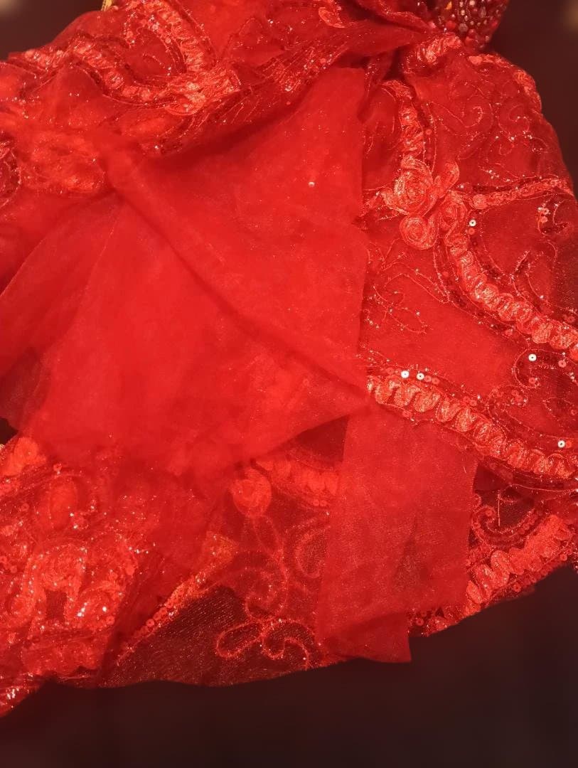 【新品Sale】エジプト製デザイナーズベリーダンス衣装セット赤《花》