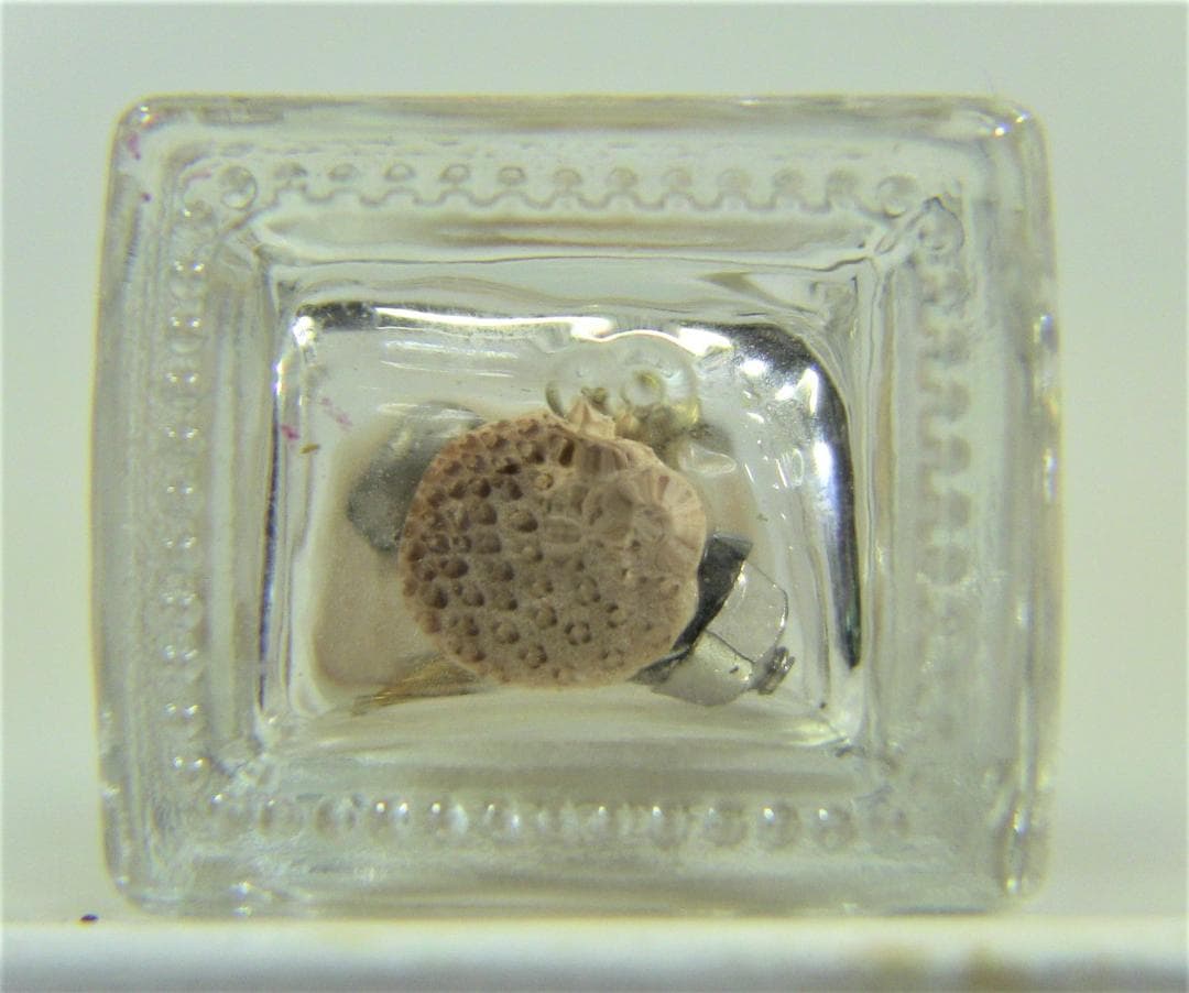 ネイル2 瓶知恵の輪 SN0026