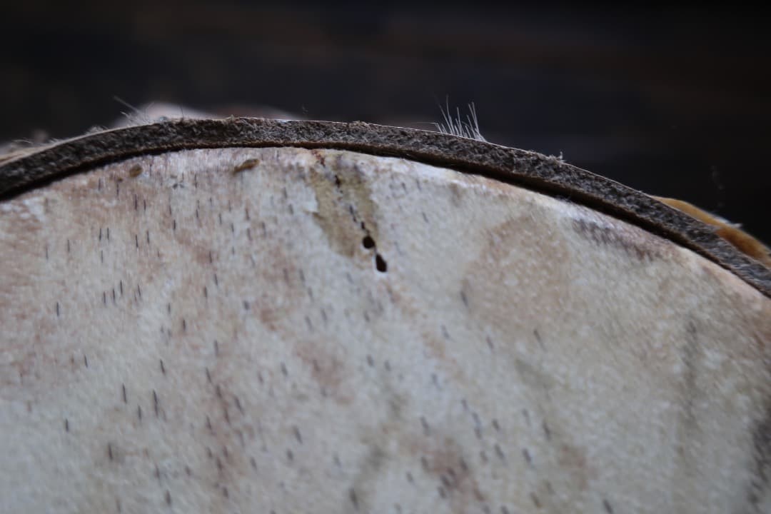 動画あり トーキングドラム アフリカ太鼓 エスニック