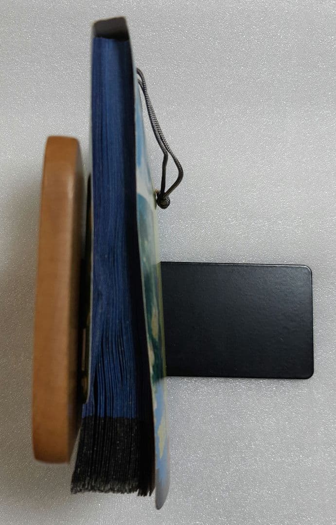 ゴジラ VS デストロイア PPカード アマダ カード