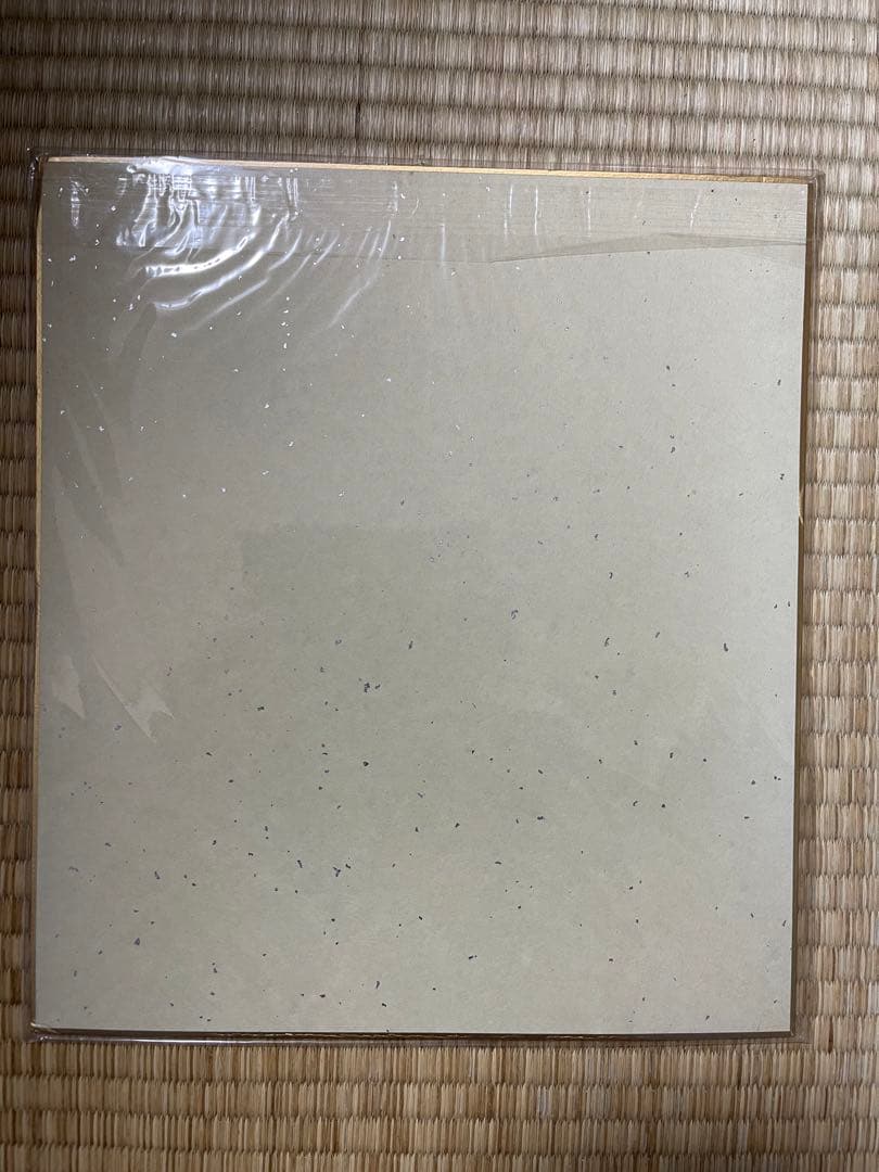 ウイニングチケット　引退記念色紙