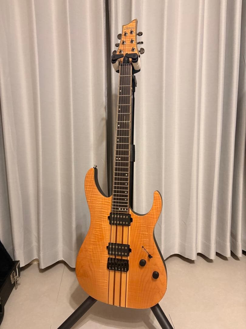 ギター Schecter Banshee Elite6
