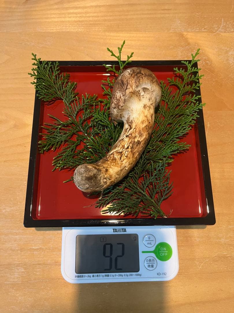 松茸90g（1本）長野県産松茸　南信州産松茸　国産松茸