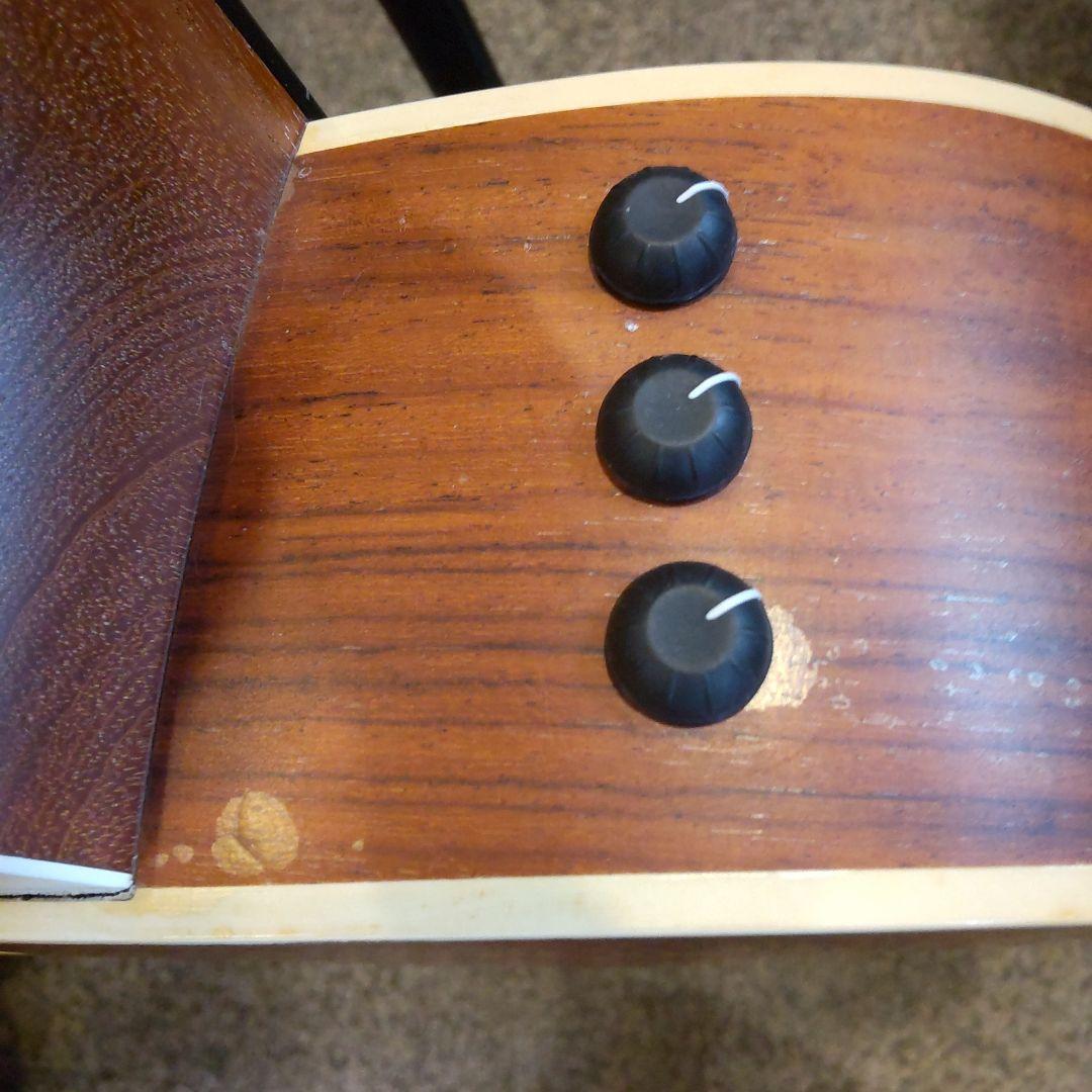 Taylor 214ce-G エレアコ （管理ワテ）