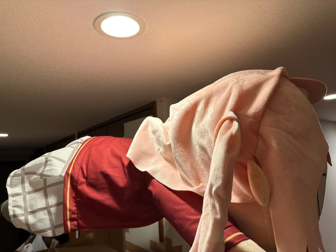 虹ヶ咲学園スクールアイドル同好会　寝そべり　テラジャンボぬいぐるみ“鐘嵐珠”