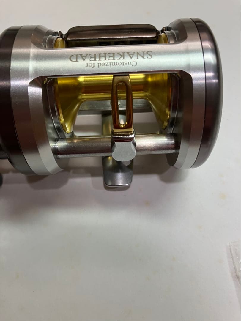 ダイワ スネークヘッドカスタム300美品 雷魚 高井主馬