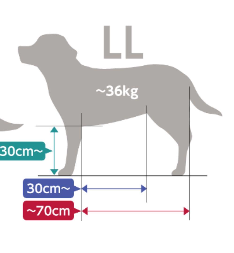 ワッタサラ　ONE Aid リラクッションLLサイズ カバーなし 美品