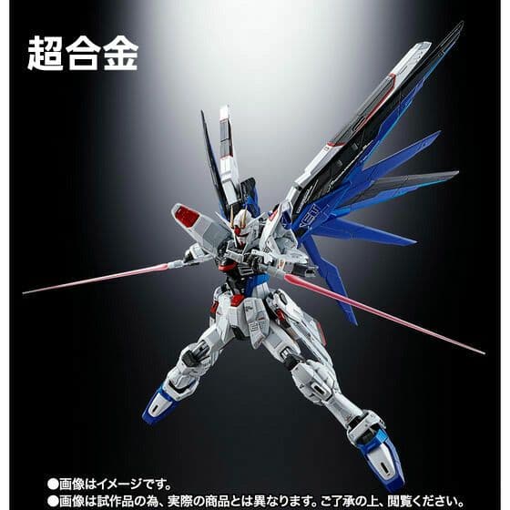 超合金 ROBOT魂 フリーダムVer.GCP　RG MSN-04FF サザビー