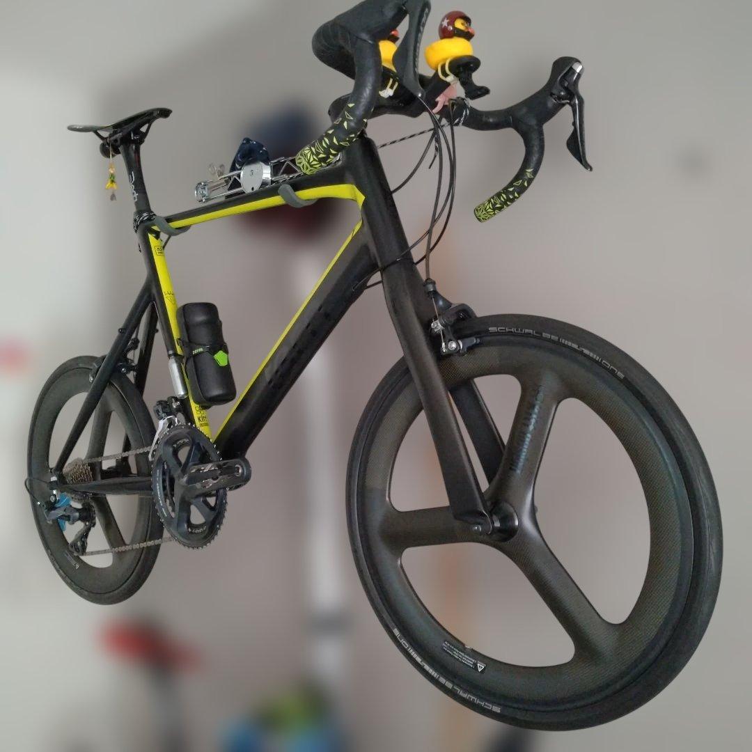 2020　Tern Surge pro delta color