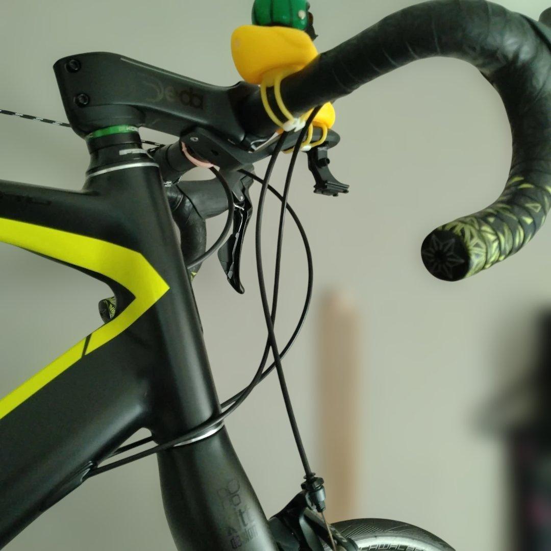 2020　Tern Surge pro delta color