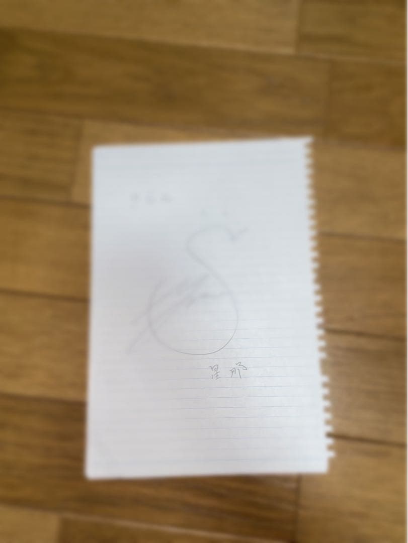 岩城星那くん　サイン *貴重*