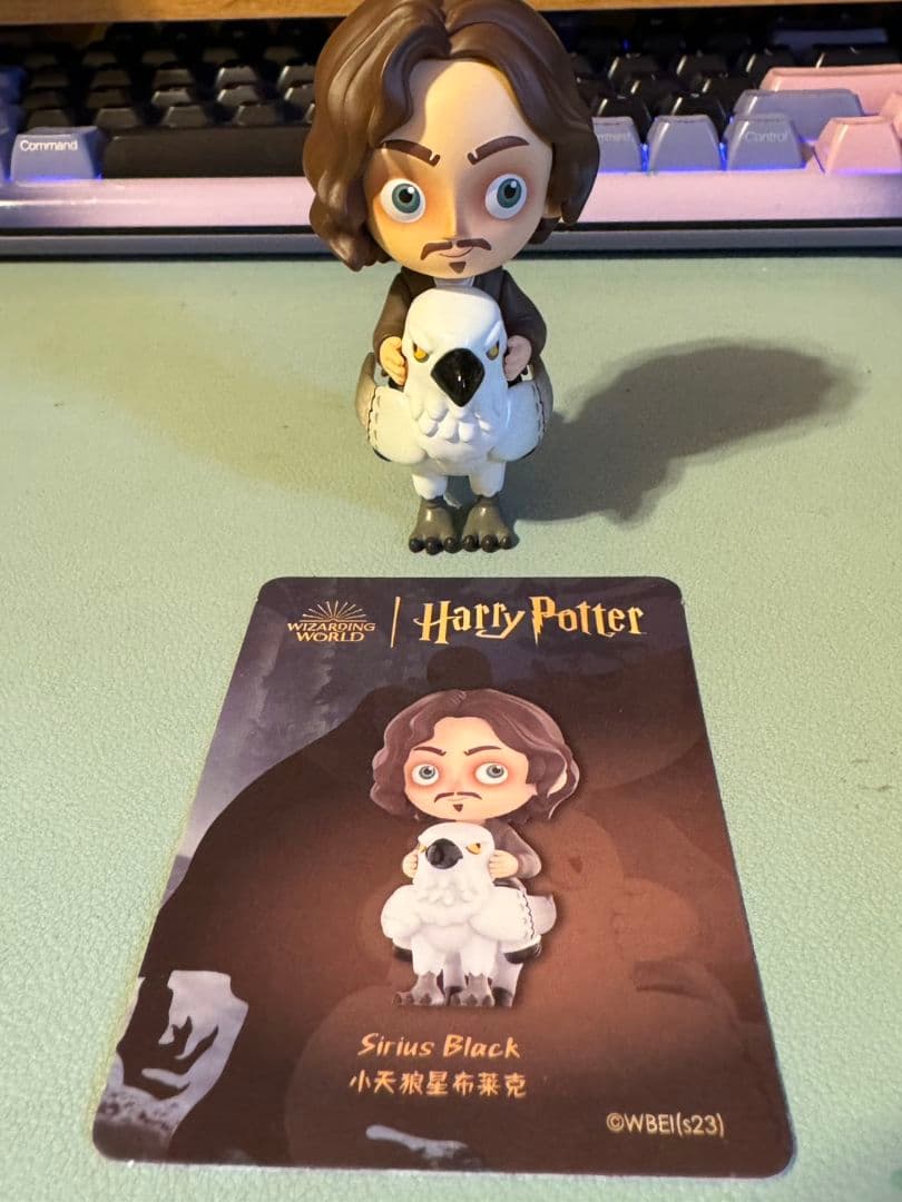 ポップマート ハリポタ アズカバン 全種+シークレット