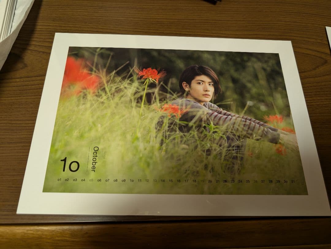 三浦春馬　公式カレンダー　2014　ON／OFF