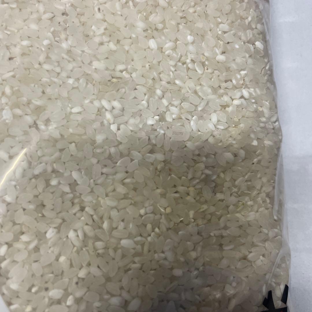 白お米 10kgx2袋=20kg