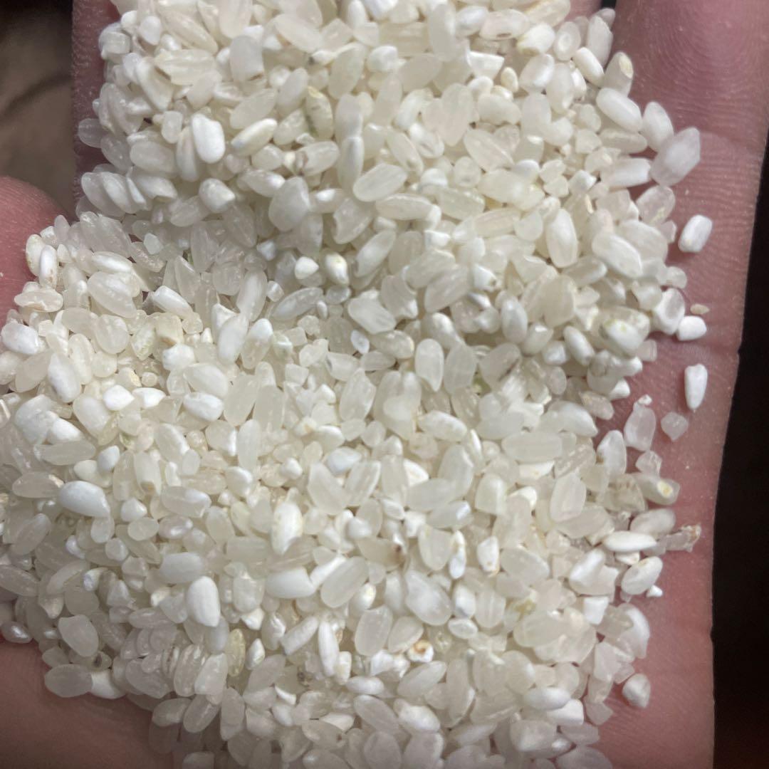 白お米 10kgx2袋=20kg