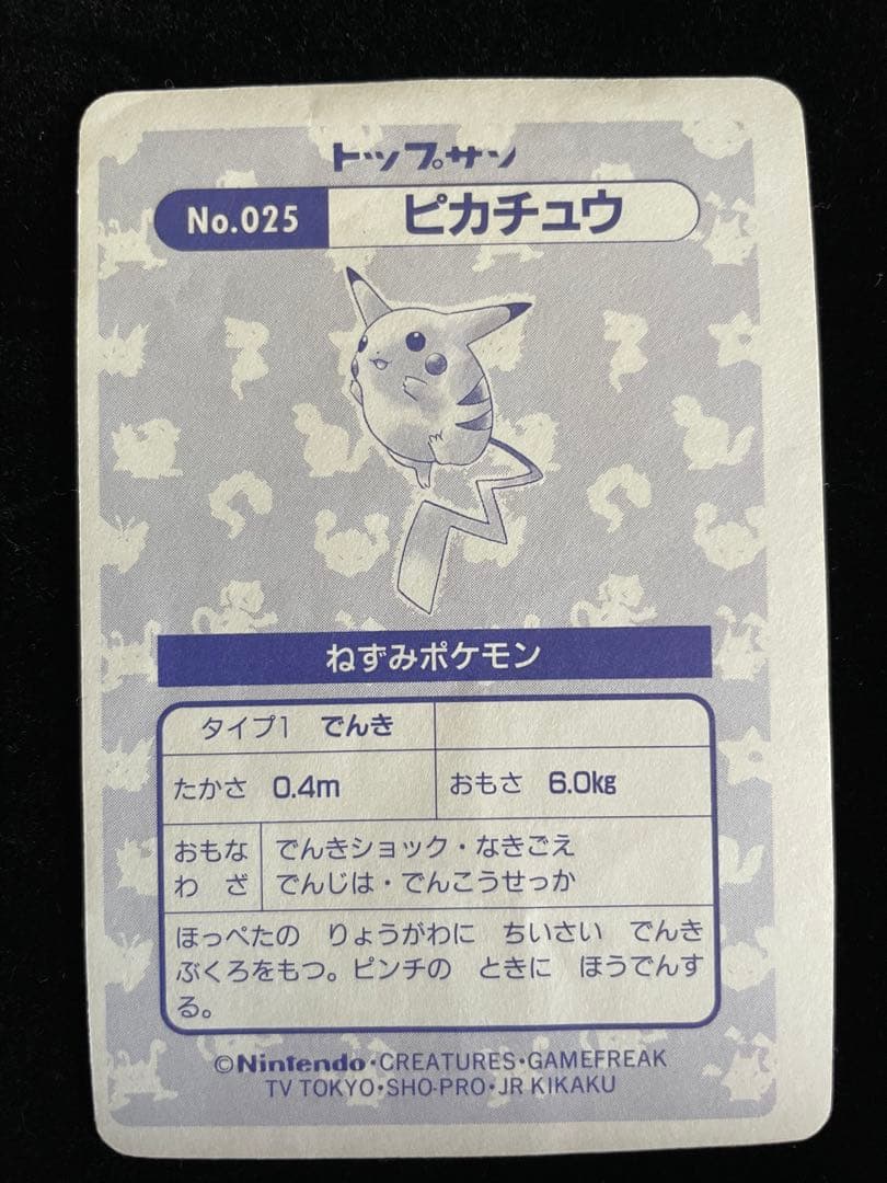 トップサン ピカチュウ キラ