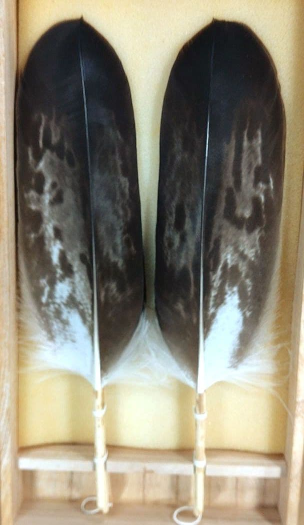 飛来一閑 磯鷲羽箒一双≪裏千家十五代 鵬雲斎 書付≫共箱 出荷当初からの外紙箱